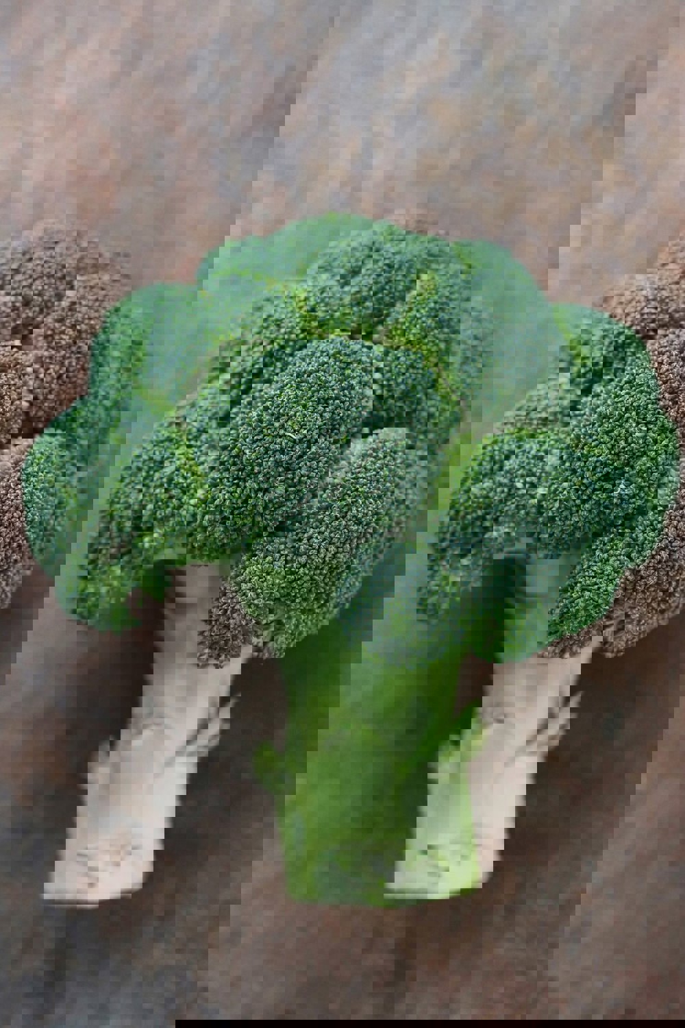 Brócolo - Interesse Nutricional