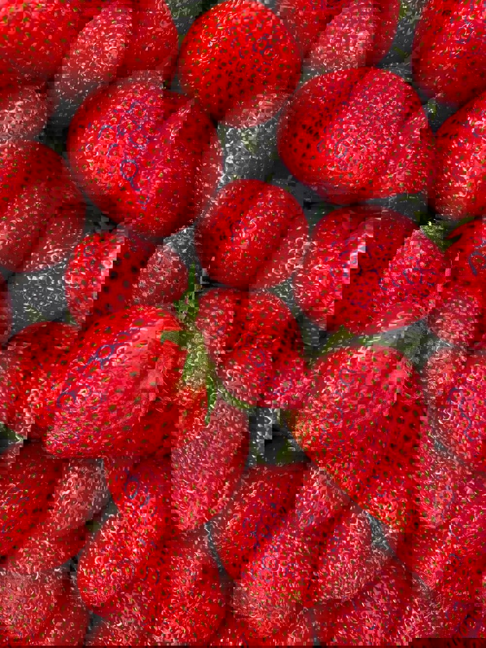 Morangos - Interesse Nutricional