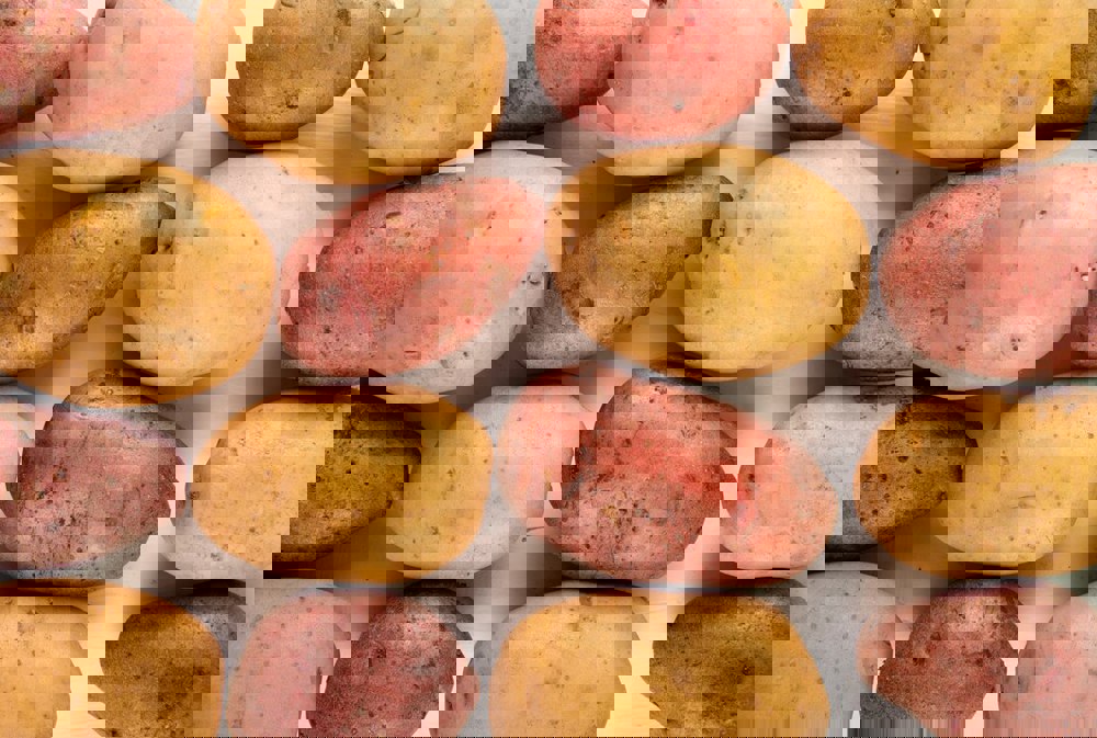 Batata - Interesse Nutricional