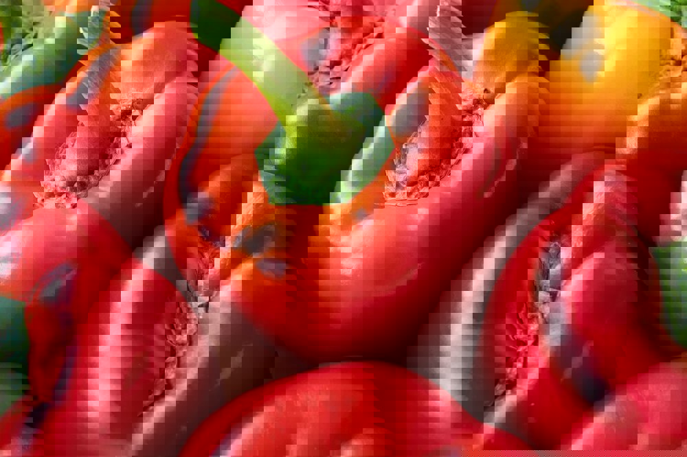 Pimento - Interesse Nutricional